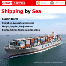 Ocean Shipping à Dhaka / Riyad / Dubaï / Istanbul / Mersin / Gênes / Naples / Palerme / Venise (transport maritime)